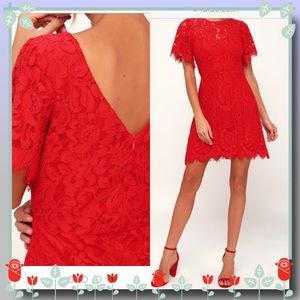 pearson red lace short sleeve dress